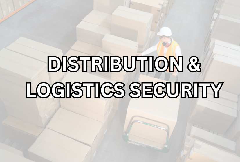 security surveys, vulnerability assessments, program planning, and the development of customized security policies and procedures.